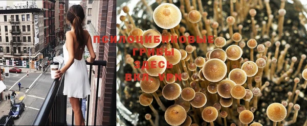 дурь Белокуриха