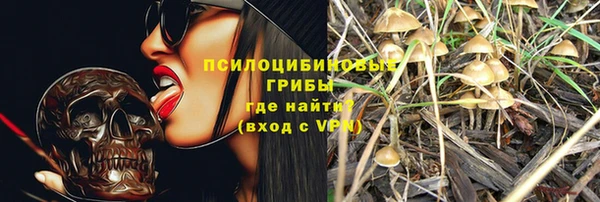 дурь Белокуриха