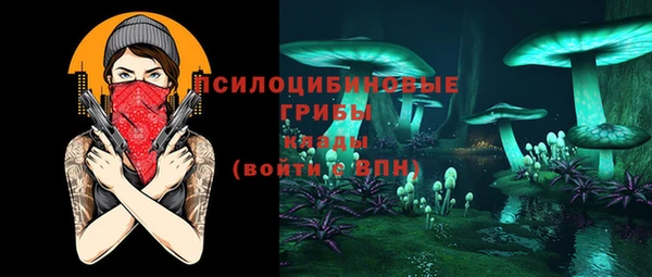дурь Белокуриха