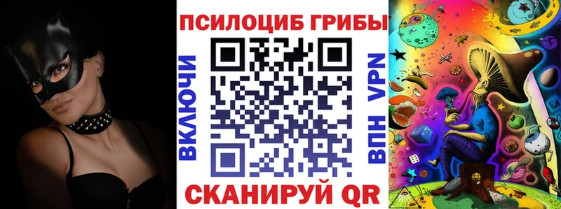 даркнет телеграм  сколько стоит  Семилуки  Галлюциногенные грибы Cubensis 